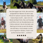 Feedback Bewertung Instagram Post