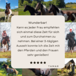 Feedback Bewertung Instagram Post(1)