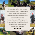 Feedback Bewertung Instagram Post(9)